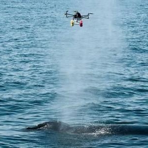 2021年1月1日起正式施行《無人機快遞投遞服務規范》行業標準 ... ...