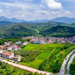 行業科普|無人機測繪幾種不同功能的應用