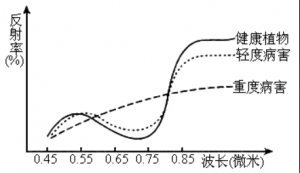 【Yusense Map+】典型應用1：基于多光譜遙感的常用植被指數計算 ...