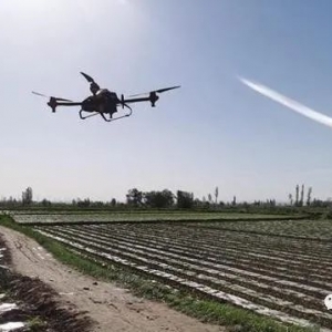甘州區(qū)小滿鎮(zhèn)：無人機(jī)作業(yè)助力制種玉米統(tǒng)防統(tǒng)治