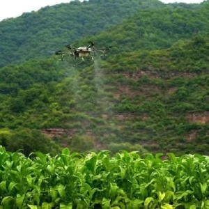 旬邑采用無人機為煙葉進(jìn)行植保作業(yè)