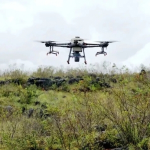 無人機精準灑下“綠色希望”，大理困難立地造林用上了新科技 ... ... ...