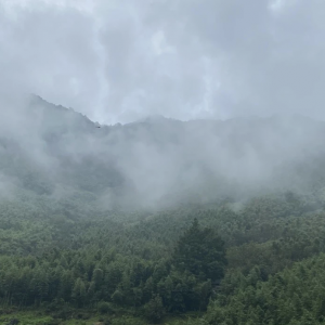大氣治理監測先行 無人機 走航模式帶起科技新風潮